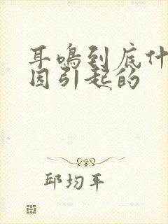 耳鸣到底什么原因引起的