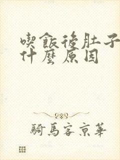 吃饭后肚子胀是什么原因