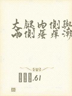 大腿内侧与阴囊两侧瘙痒潮湿发黑用什么药膏