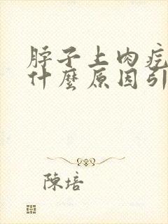 脖子上肉疙瘩是什么原因引起的