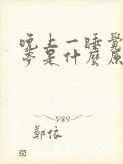 晚上一睡觉就做梦是什么原因