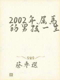 2002年属马的男孩一生的命运封面
