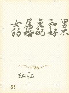 女属兔和男属龙的婚配好不好