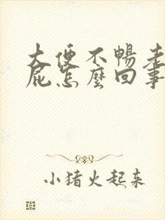 大便不畅老是放屁怎么回事