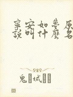 宁安如梦原著小说叫什么名字