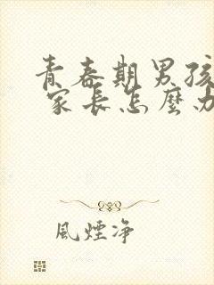 青春期男孩叛逆 家长怎么办