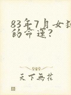 83年7月女猪的命运?封面