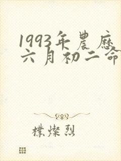 1993年农历六月初二命运封面