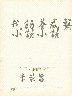 我的养成系女友小说小说