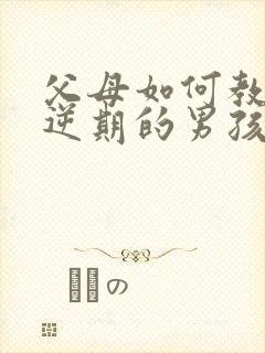 父母如何教育叛逆期的男孩子