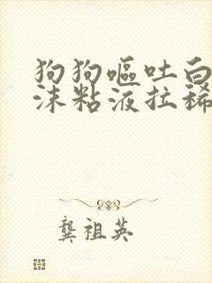 狗狗呕吐白色泡沫粘液拉稀