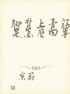 脚背上青筋凸起是怎么回事