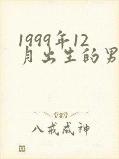 1999年12月出生的男孩命运封面