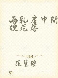 两乳房中间有个硬疙瘩封面