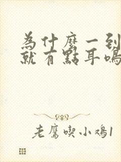 为什么一到晚上就有点耳鸣