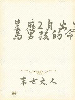 农历2月出生的马男孩的命运封面