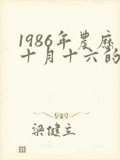 1986年农历十月十六的人命运