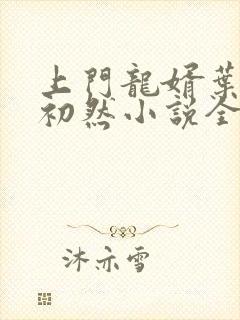 上门龙婿叶辰萧初然小说全集免费阅读封面