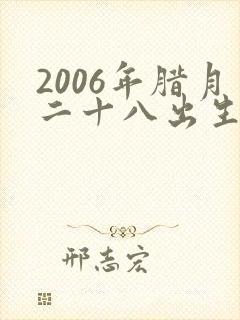 2006年腊月二十八出生的男孩命运