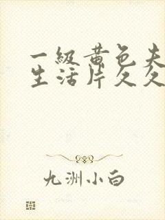 一级黄色夫妻性生活片久久