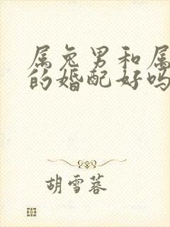 属兔男和属马女的婚配好吗