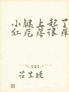 小腿上起了好多红疙瘩很痒