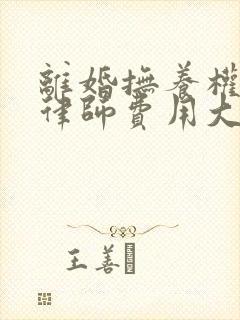 离婚抚养权起诉律师费用大概要多少封面