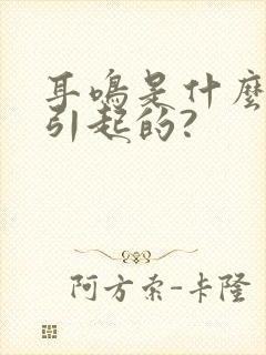 耳鸣是什么原因引起的?