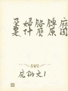 孕妇胳膊麻手麻是什么原因