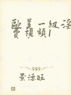 欧美一级淫片免费视频1