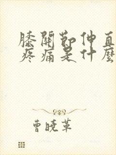 膝关节伸直弯曲疼痛是什么原因