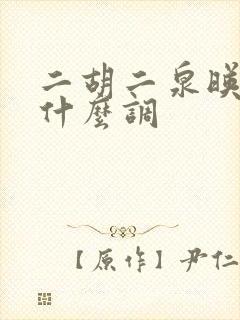 二胡二泉映月定什么调