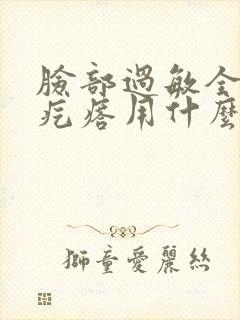 脸部过敏全是小疙瘩用什么