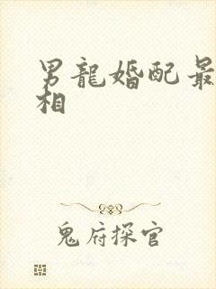 男龙婚配最佳属相