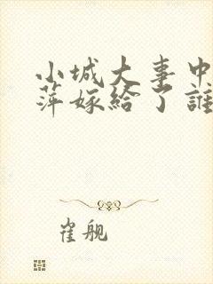 小城大事中李秋萍嫁给了谁封面