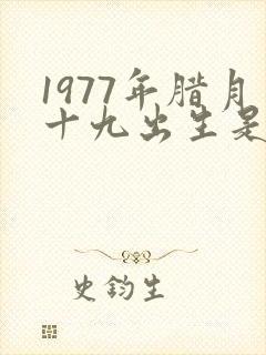 1977年腊月十九出生是什么命封面