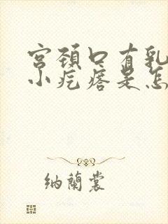 宫颈口有乳头状小疙瘩是怎么回事