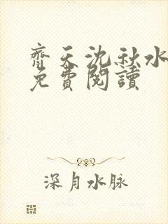 齐天沈秋水小说免费阅读封面