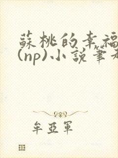 苏桃的幸福生活(np)小说笔趣阁沐沐