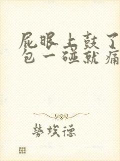 屁眼上鼓了一个包一碰就痛