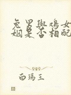 兔男与鸡女的婚姻是否相配