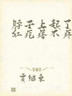 脖子上起了几个红疙瘩不疼不痒