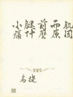 小腿前面肌肉疼痛什么原因引起的