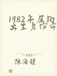 1982年属狗出生月份命运封面