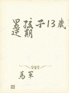 男孩子13岁叛逆期