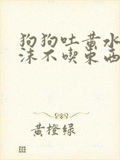 狗狗吐黄水带泡沫不吃东西怎么办