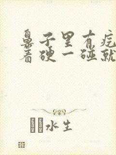 鼻子里有疙瘩摸着硬一碰就疼