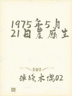 1975年5月21日农历生辰八字
