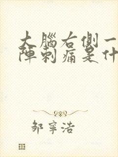 大脑右侧一阵一阵刺痛是什么原因