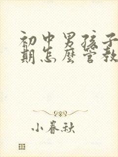 初中男孩子叛逆期怎么管教最合适